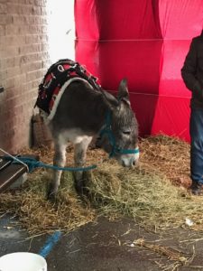 Visite de Saint Nicolas