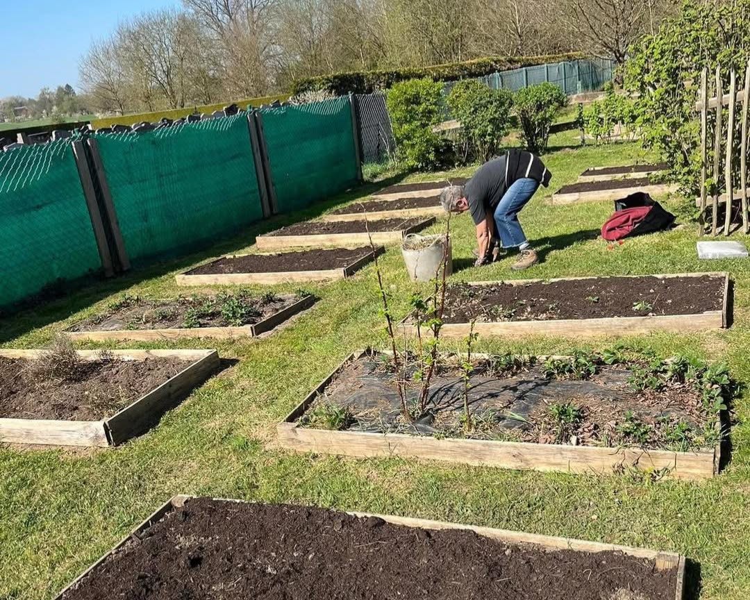 Le potager de l'école