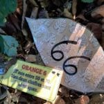 Une feuille portant le nombre 66 et une étiquette d'énigme, posée dans les feuilles mortes