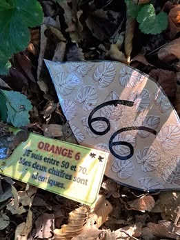 Une feuille portant le nombre 66 et une étiquette d'énigme, posée dans les feuilles mortes